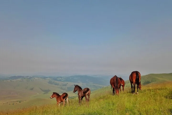 Златибор и Тара